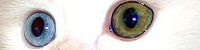 _images/extract1.jpg