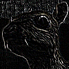 Picture after the convolution filter