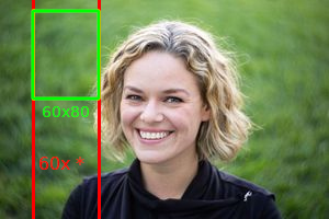 Picture explaining watermark resizing feature