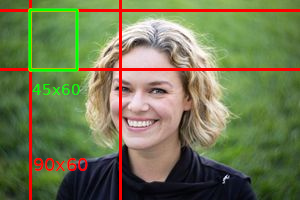 Picture explaining watermark resizing feature