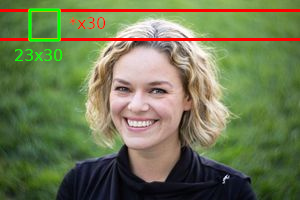 Picture explaining watermark resizing feature